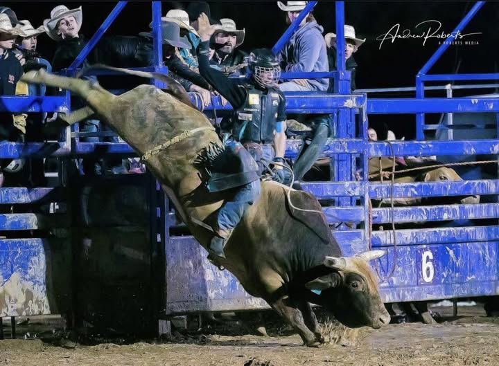 You are currently viewing Troy Cross Boorowa, NSW Obituary, Death: Australian Bull Riding Beloved Cowboy